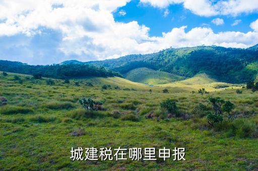 地稅城市維護(hù)建設(shè)稅按什么申報(bào)，城建稅申報(bào)