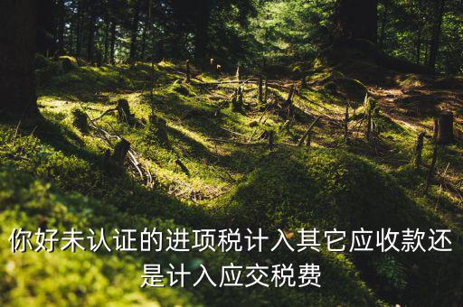 你好未認(rèn)證的進項稅計入其它應(yīng)收款還是計入應(yīng)交稅費