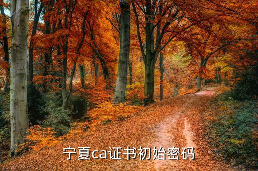 ca的默認密碼是什么意思，ca口令是什么