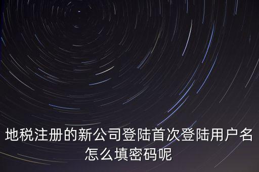 地稅注冊(cè)的新公司登陸首次登陸用戶(hù)名怎么填密碼呢