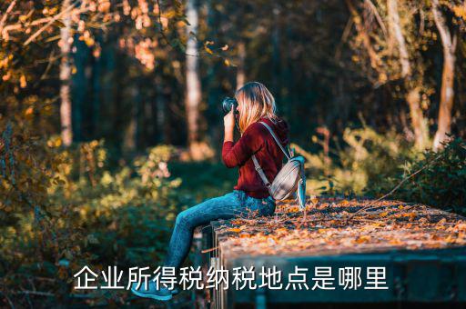 企業(yè)信息的納稅地址是什么，企業(yè)所得稅的納稅地點(diǎn)是怎么規(guī)定的