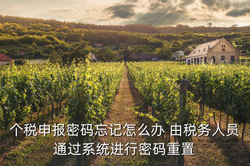 去稅局重置密碼要帶什么資料，個稅申報密碼怎么重置