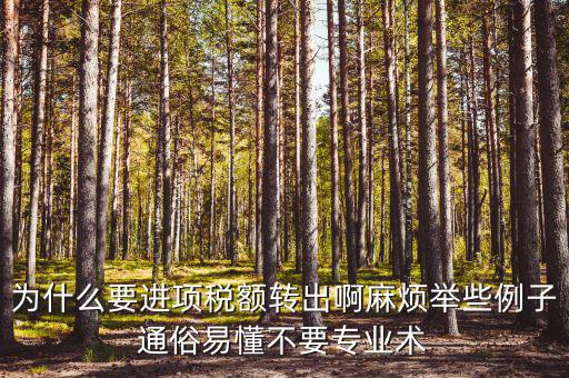 為什么要進項稅額轉(zhuǎn)出，為什么要進項稅額轉(zhuǎn)出啊麻煩舉些例子通俗易懂不要專業(yè)術(shù)