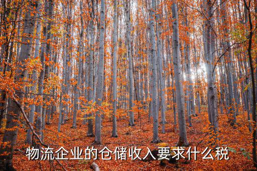 倉儲(chǔ)物流公司繳納什么稅，我是會(huì)計(jì)新手 請問各位師傅們物流公司應(yīng)繳納什么稅