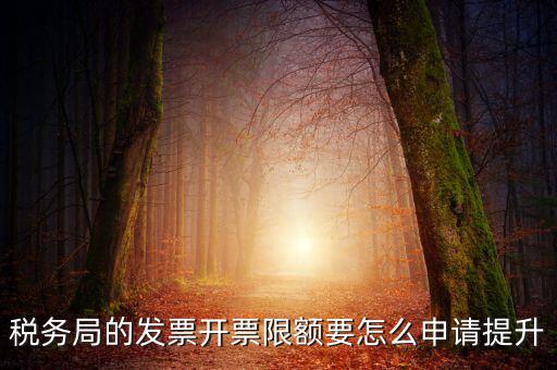 提高開票限額申請需要什么資料，去稅務局增大公司的開票限額需要帶些什么我公司第一次開票去申