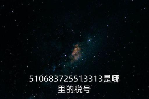 陜西省地方的稅號(hào)開(kāi)頭是什么，510683725513313是哪里的稅號(hào)