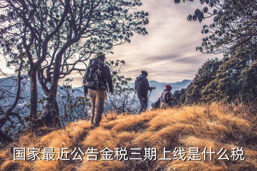金稅三期從什么上線，國家最近公告金稅三期上線是什么稅