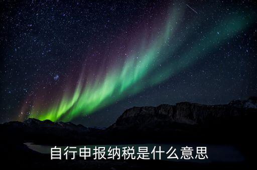 申報(bào)納稅什么意思，報(bào)稅是什么意思 報(bào)稅的含義