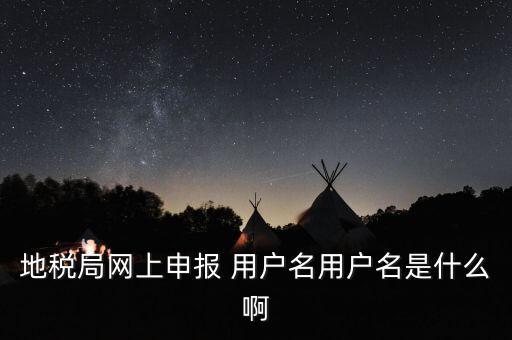 地稅局網(wǎng)上申報(bào) 用戶(hù)名用戶(hù)名是什么啊
