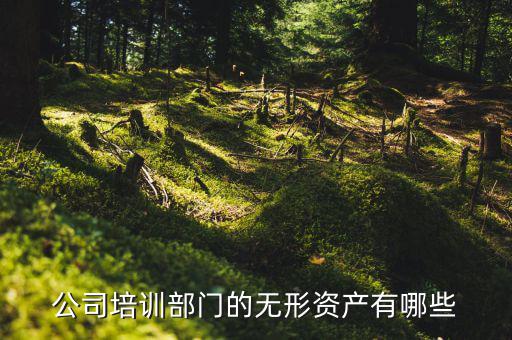 其他權(quán)益性無形資產(chǎn)是什么，無形資產(chǎn)屬于什么科目