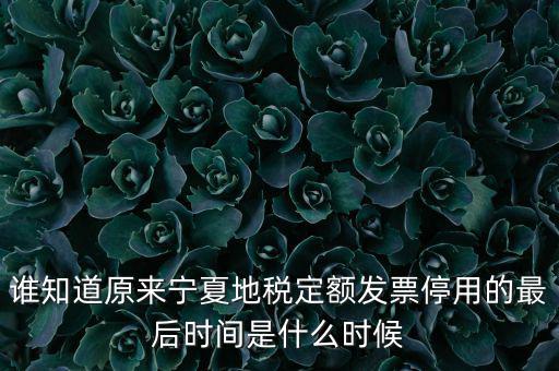 地稅的發(fā)票什么時候不能用，誰知道原來寧夏地稅定額發(fā)票停用的最后時間是什么時候