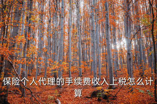 保險(xiǎn)代理員交什么稅，請(qǐng)問從車輛保險(xiǎn)代理人的提承里扣的稅是什么稅啊