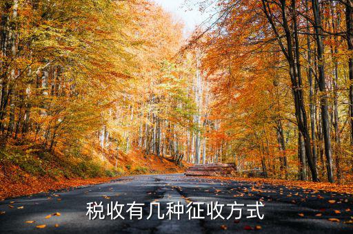 稅務征非稅采取什么方式，稅務征收有哪幾種