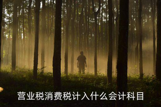 營業(yè)稅記什么科目，企業(yè)應(yīng)交營業(yè)稅可以記入那個科目