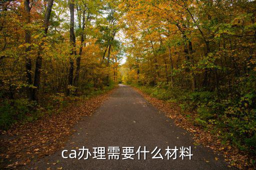 升級ca需要什么資料，企業(yè)辦理ca需要的材料