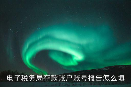 電子稅務(wù)局存款賬戶(hù)賬號(hào)報(bào)告怎么填