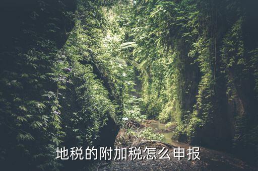 什么是附加稅申報(bào)，地稅的附加稅怎么申報(bào)