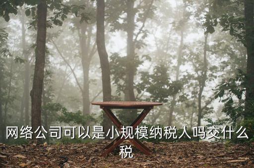 網絡公司可以是小規(guī)模納稅人嗎交什么稅