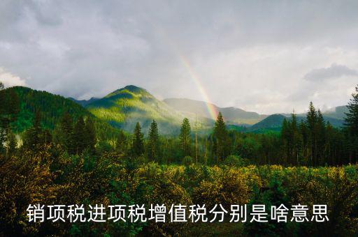 什么是銷項(xiàng)和進(jìn)項(xiàng)，進(jìn)項(xiàng)稅和銷項(xiàng)稅是什么意思