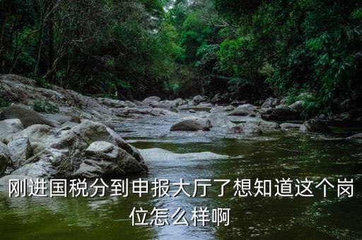 國稅局新進(jìn)人員一般分到什么崗位，國稅局 工作人員需要哪些專業(yè)職稱