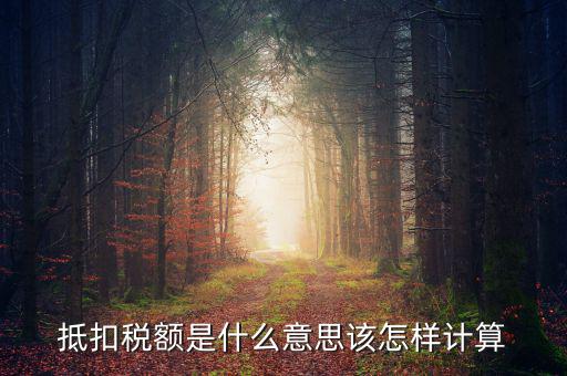 抵免稅額是什么意思，抵扣稅額是什么意思該怎樣計(jì)算