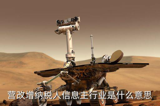 國稅主行業(yè)都是什么意思，營改增納稅人信息主行業(yè)是什么意思