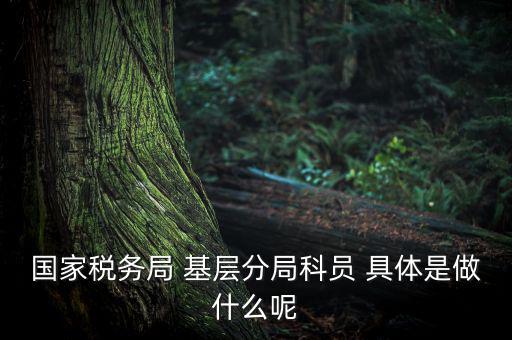 國地稅征管改革黨員干部干什么，國家稅務局 基層分局科員 具體是做什么呢