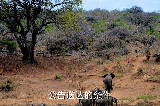 稅務(wù)局公告送達(dá)需要什么條件，公告送達(dá)的條件
