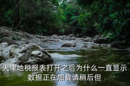 天津地稅為什么，天津地稅報表打開之后為什么一直顯示數(shù)據(jù)正在加載請稍后但
