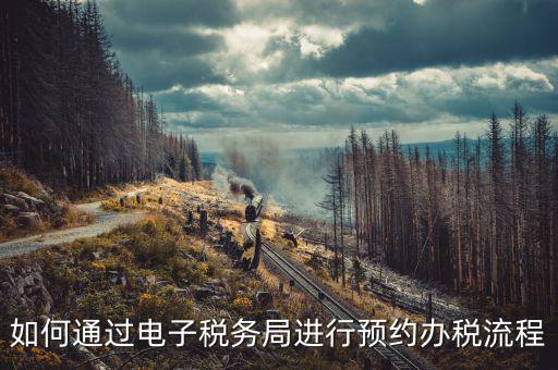國稅局預約有什么，拿金稅盤去國稅前臺弄要預約嗎