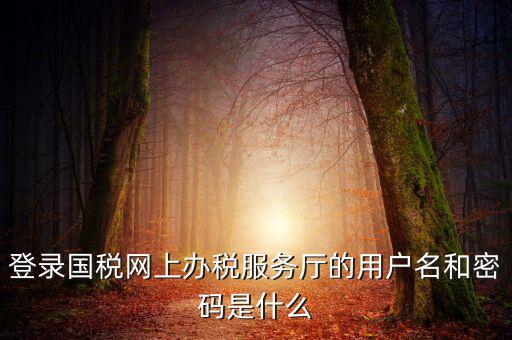 國稅默認賬號是什么意思，你好我想問你 一下 網(wǎng)上國稅的用戶名和密碼是什么