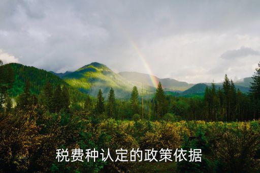 什么是稅費(fèi)種認(rèn)定信息查詢，稅費(fèi)種認(rèn)定信息在哪里查看
