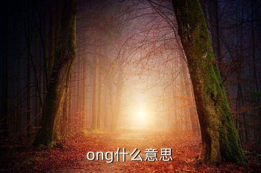 發(fā)票ong什么意思，ong什么意思