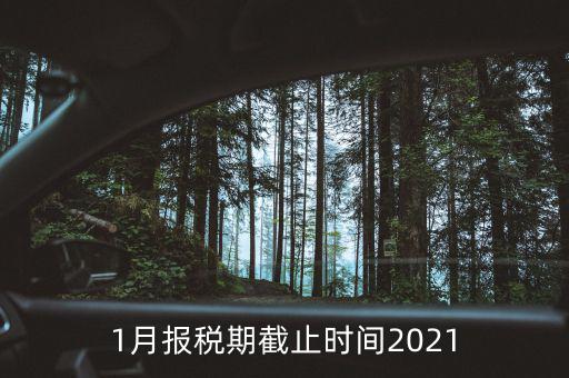 1月份地稅什么時候申報，報稅一般都是每個月什么時候報稅