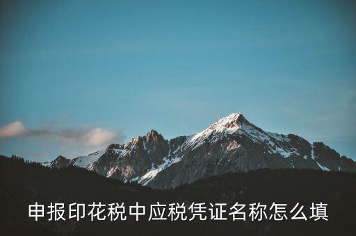 印花稅應稅憑證名稱是什么，申報印花稅中應稅憑證名稱怎么填