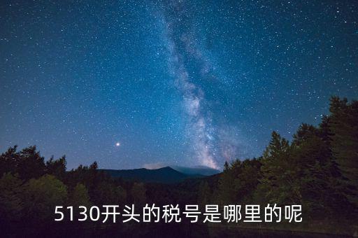 四川一般納稅人稅號以什么開頭，5130開頭的稅號是哪里的呢