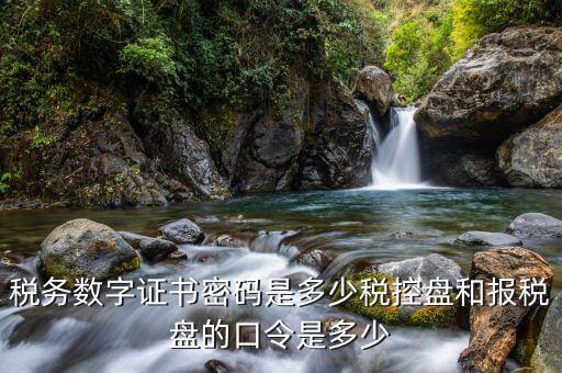 國稅開票軟件的稅務證書密碼是什么，稅務數(shù)字證書密碼是多少稅控盤和報稅盤的口令是多少