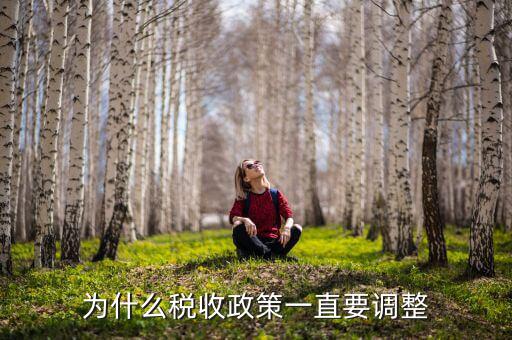 為什么進行納稅調(diào)整，我國為什么要進行個人所得稅調(diào)整高中政治