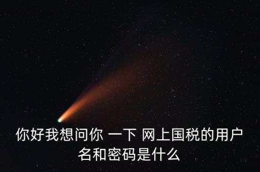 稅務登記密碼是什么，國稅第一次網(wǎng)上申報的登陸密碼是什么