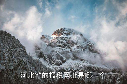 河北稅務官網是什么，怎么打開河北省國稅網站
