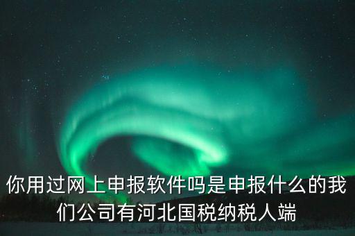 企業(yè)申報(bào)客戶端是什么，你用過網(wǎng)上申報(bào)軟件嗎是申報(bào)什么的我們公司有河北國稅納稅人端