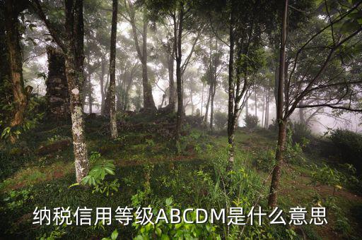 國稅網(wǎng)上的信用級(jí)別代表什么，如何理解稅務(wù)信用級(jí)別