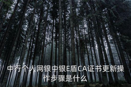 升級(jí)ca需要什么，CA證書(shū)怎么從副盤(pán)升級(jí)成正盤(pán)