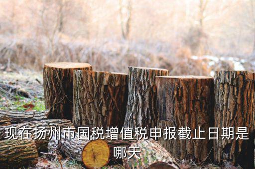 揚州10月稅務申報什么時候，個人所得稅10月份申報期限是多少