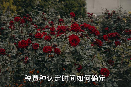 稅種認定后什么時間申報，稅務局變更稅費種認定變更后多久可以可以報稅