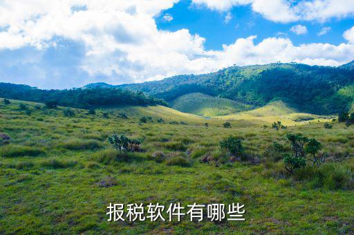 四川報(bào)稅軟件叫什么名字，網(wǎng)上報(bào)稅的那個(gè)軟件叫什么呀