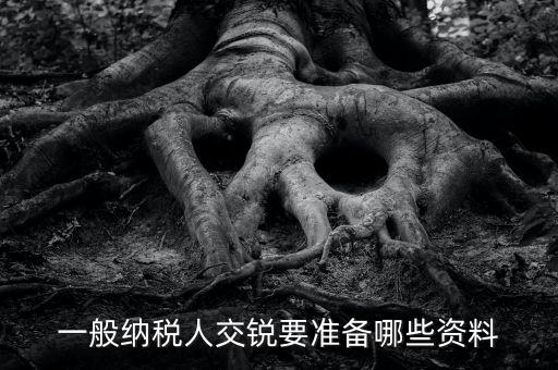 交稅需要什么資料，一般納稅人交銳要準(zhǔn)備哪些資料