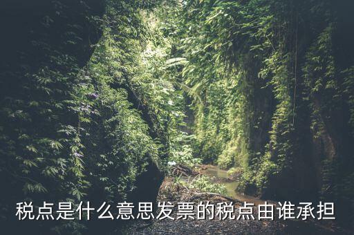 稅點由什么決定，稅點是什么意思
