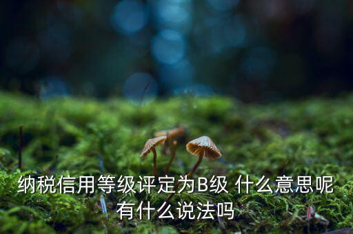 國(guó)稅b級(jí)信用是什么意思，納稅信用等級(jí)評(píng)定為B級(jí) 什么意思呢有什么說(shuō)法嗎
