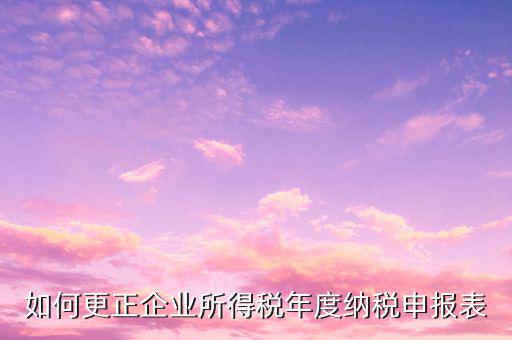 辦稅大廳改報表需要什么，去稅務局營業(yè)大廳申報納稅需要帶哪些材料